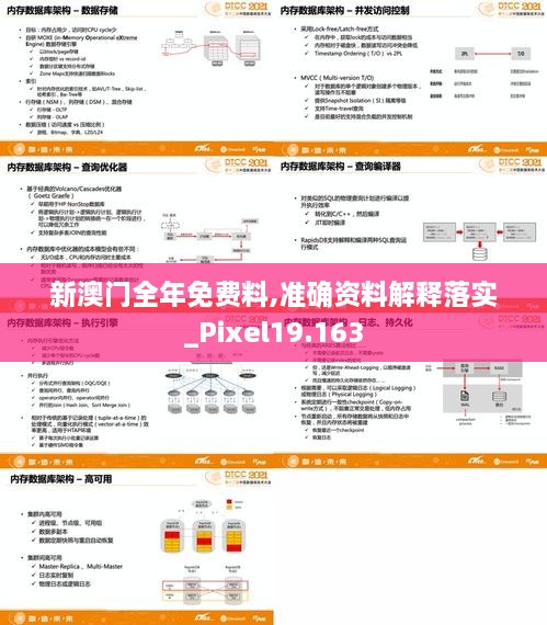 新澳门全年免费料,准确资料解释落实_Pixel19.163