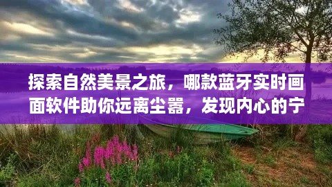 探索自然美景之旅，蓝牙实时画面软件助你寻找内心宁静