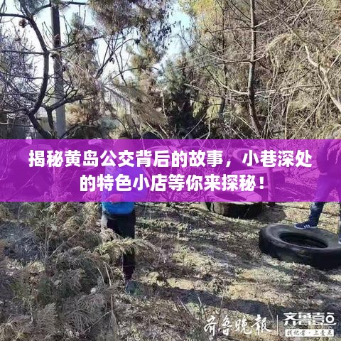 黄岛公交与小巷特色小店探秘之旅！