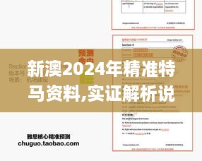 新澳2024年精准特马资料,实证解析说明_纪念版7.296