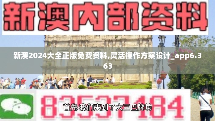 新澳2024大全正版免费资料,灵活操作方案设计_app6.363