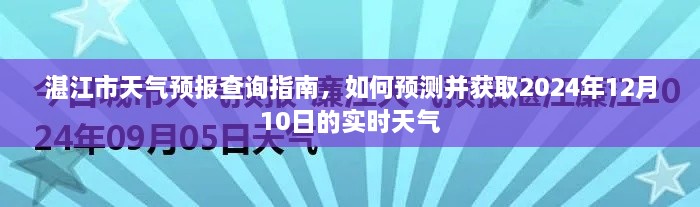 2024年12月15日 第37页