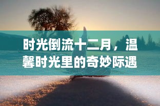 时光倒流十二月，温馨时光中的奇遇