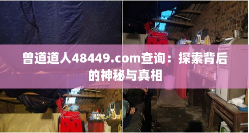 曾道道人48449.com查询：探索背后的神秘与真相