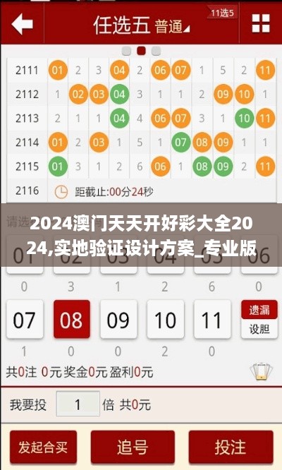 2024澳门天天开好彩大全2024,实地验证设计方案_专业版1.840