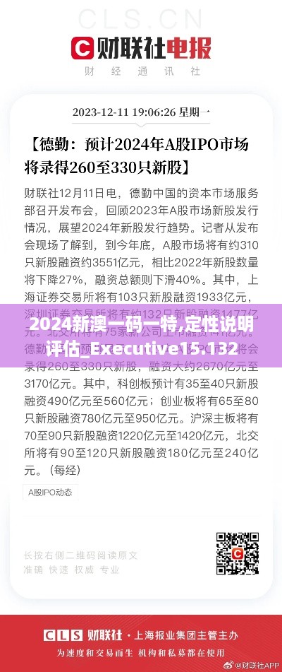 2024新澳一码一特,定性说明评估_Executive15.132