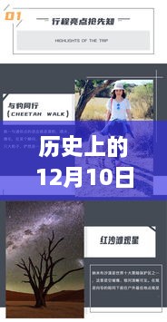 语音转文字在线，与自然美景共舞，探寻心灵宁静之旅的历程纪念——历史上的今天（十二月十日）