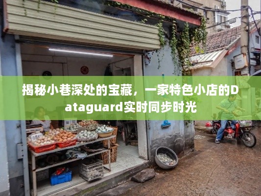 小巷深处的宝藏，特色小店Dataguard实时同步时光揭秘