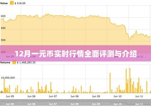 2024年12月15日 第12页