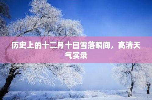 十二月十日雪落瞬间的高清天气实录，历史时刻的永恒定格