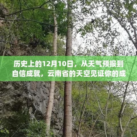 云南省的天空见证成长之路，从天气预报到自信成就的历史时刻回顾