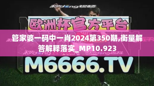 管家婆一码中一肖2024第350期,衡量解答解释落实_MP10.923