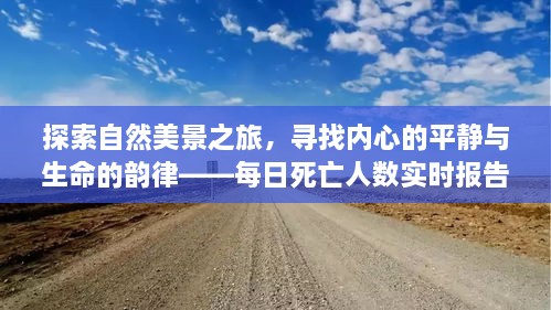 自然探索之旅背后的故事，内心平静与生命韵律的追寻——每日死亡人数实时报告启示