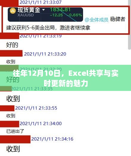 Excel共享与实时更新的魅力，历年12月10日见证其成长历程