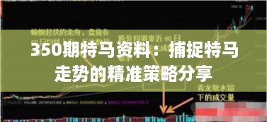 350期特马资料：捕捉特马走势的精准策略分享