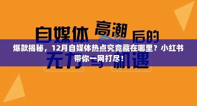 揭秘！小红书带你探寻12月自媒体热点爆款之源！