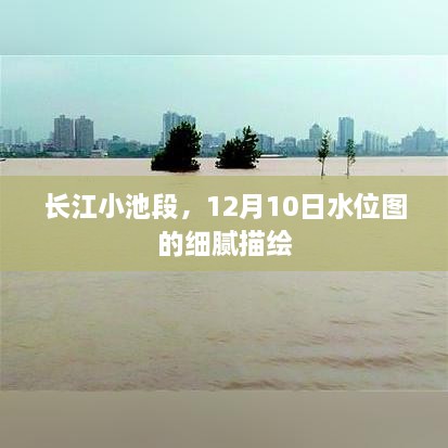 长江小池段12月10日水位图精细描绘