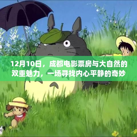 成都电影与自然魅力，寻找内心平静的奇妙旅程（12月10日）