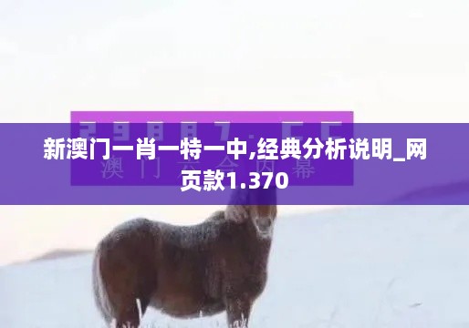 新澳门一肖一特一中,经典分析说明_网页款1.370