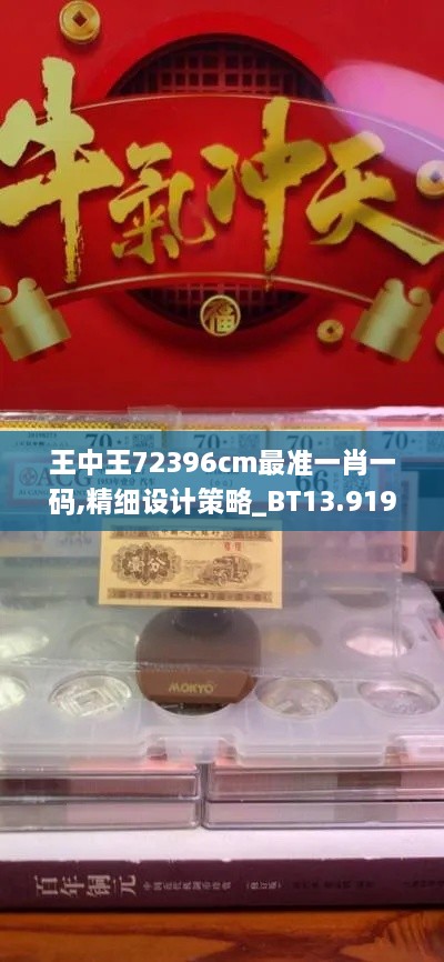 王中王72396cm最准一肖一码,精细设计策略_BT13.919