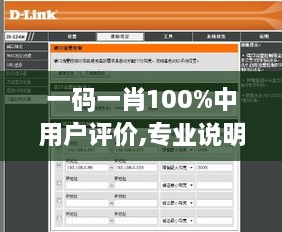 一码一肖100%中用户评价,专业说明评估_UHD5.901