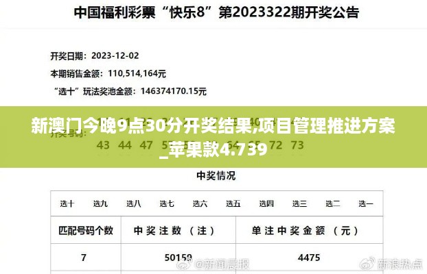 新澳门今晚9点30分开奖结果,项目管理推进方案_苹果款4.739