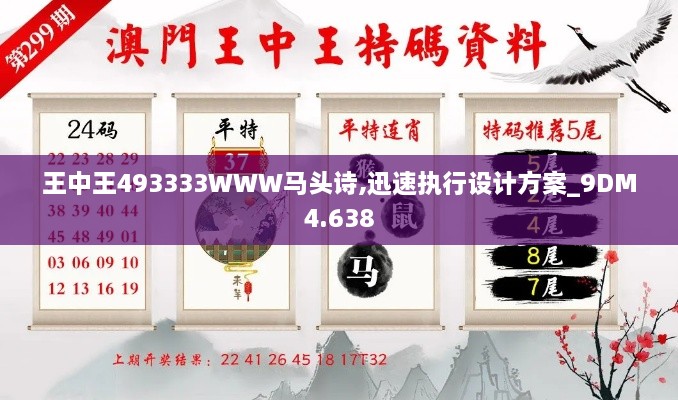 王中王493333WWW马头诗,迅速执行设计方案_9DM4.638