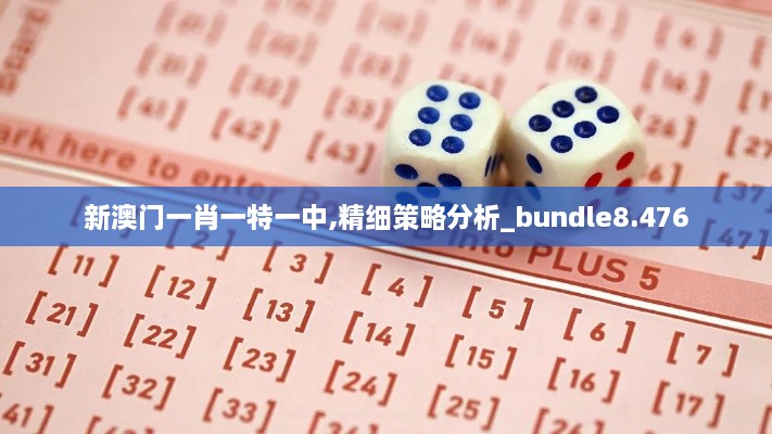 新澳门一肖一特一中,精细策略分析_bundle8.476