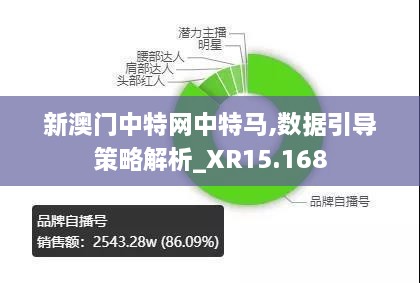 新澳门中特网中特马,数据引导策略解析_XR15.168