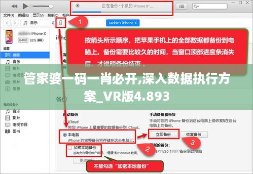 管家婆一码一肖必开,深入数据执行方案_VR版4.893