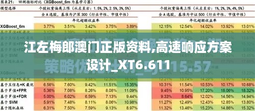 江左梅郎澳门正版资料,高速响应方案设计_XT6.611