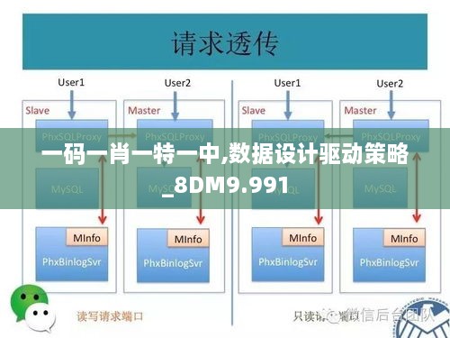 一码一肖一特一中,数据设计驱动策略_8DM9.991