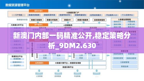 新澳门内部一码精准公开,稳定策略分析_9DM2.630