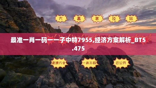 最准一肖一码一一子中特7955,经济方案解析_BT5.475