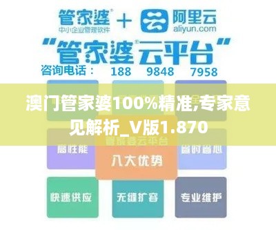 澳门管家婆100%精准,专家意见解析_V版1.870