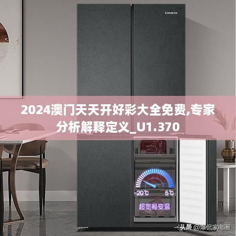 2024澳门天天开好彩大全免费,专家分析解释定义_U1.370