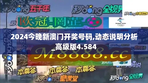 2024今晚新澳门开奖号码,动态说明分析_高级版4.584