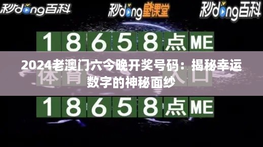 2024老澳门六今晚开奖号码：揭秘幸运数字的神秘面纱