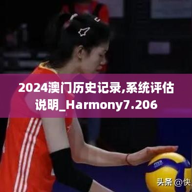 2024澳门历史记录,系统评估说明_Harmony7.206