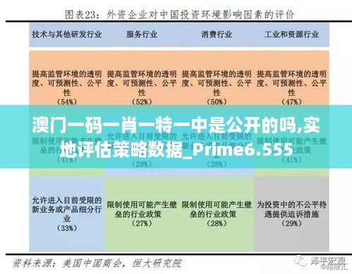 澳门一码一肖一特一中是公开的吗,实地评估策略数据_Prime6.555