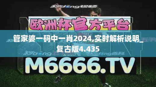 管家婆一码中一肖2024,实时解析说明_复古版4.435