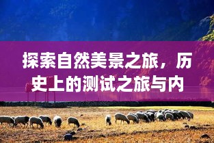 自然探索之旅，历史测试之旅与内心宁静的追寻