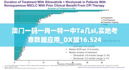 澳门一码一肖一特一中Ta几si,实地考察数据应用_DX版16.524