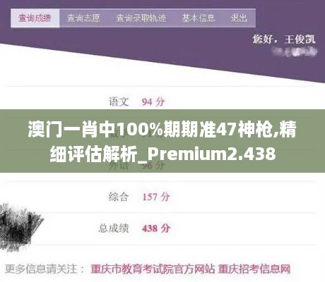 澳门一肖中100%期期准47神枪,精细评估解析_Premium2.438