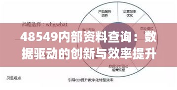 48549内部资料查询：数据驱动的创新与效率提升