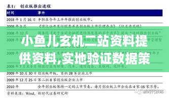 小鱼儿玄机二站资料提供资料,实地验证数据策略_S4.121