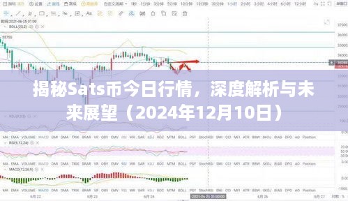 2024年12月16日 第32页