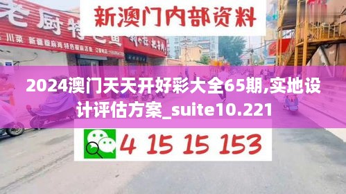 2024澳门天天开好彩大全65期,实地设计评估方案_suite10.221