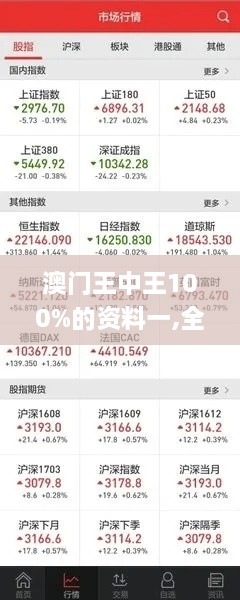 澳门王中王100%的资料一,全面数据执行计划_HDR版2.908