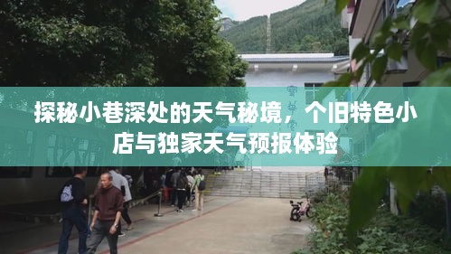 小巷深处的天气秘境，个旧特色小店与独家天气预报探秘